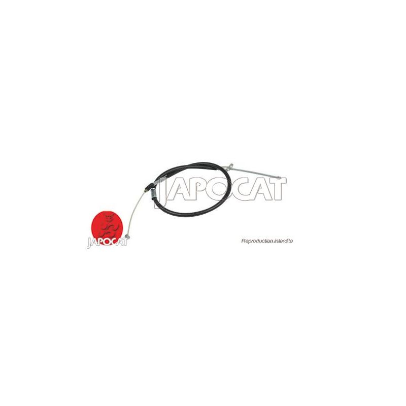 CABLE F.A.M ARG PICNIC