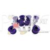 SILENTBLOC SUPERPRO AR TERRACAN