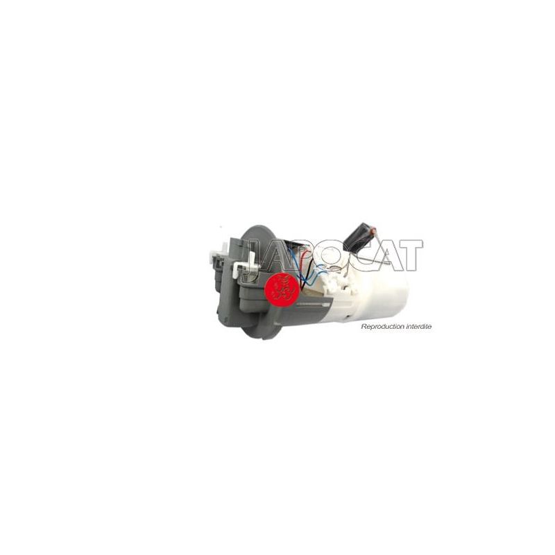POMPE A CARBURANT IMMERGEE