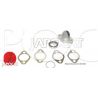 KIT de PIVOT SUP -ABS