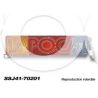 FEU ARG SJ4 FICHE CARREE