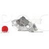 POMPE A HUILE YD25 ORIGINE