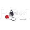 ROTULE INF J12