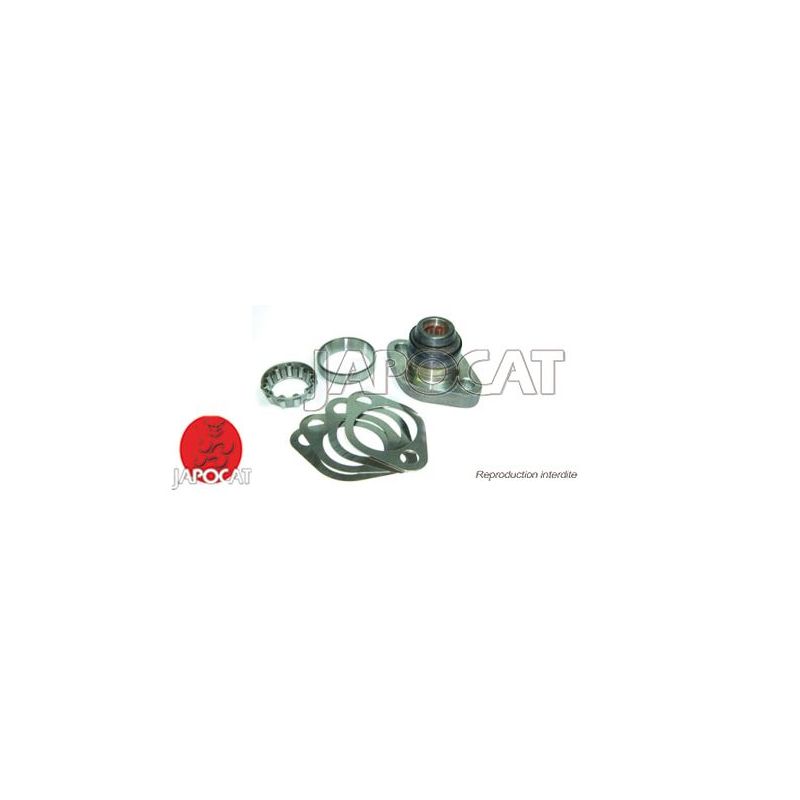 KIT de PIVOT SUP +ABS