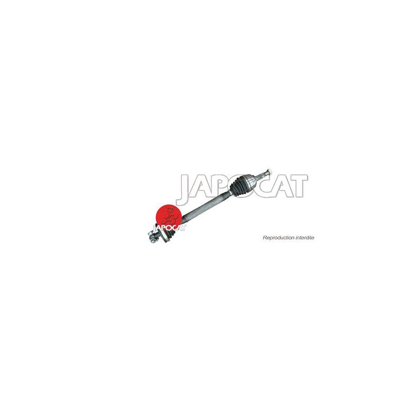 CARDAN AVG