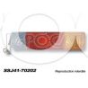 FEU ARD SJ4 FICHE CARREE
