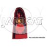 FEU D'AILE ARG Astra Combo 01>03 Br