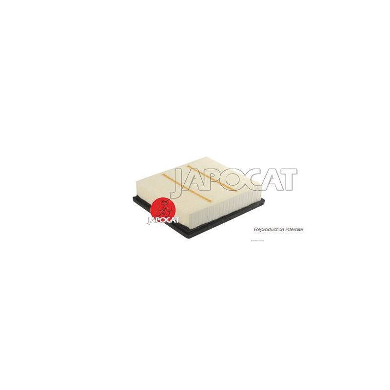 FILTRE A AIR RX450