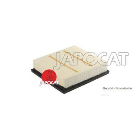 FILTRE A AIR RX450