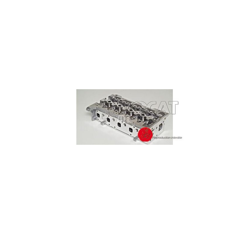 CULASSE NUE Z13DT