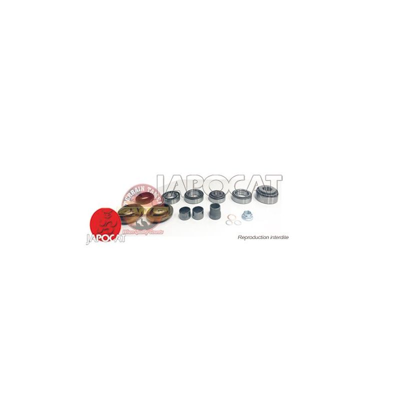 KIT REFECTION DIFFERENTIEL AV GUN