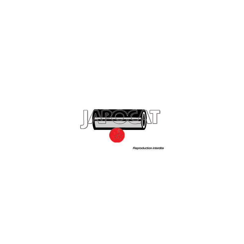 DURIT INFERIEURE BJ4 Cote Radiateur