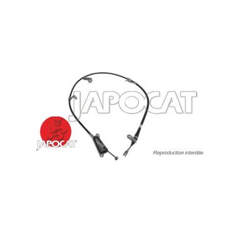 CABLE F.A.M ARG T30