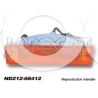 CLIGNOTANT de PC D D21