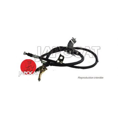 CABLE F.A.M ARG GALLOPER
