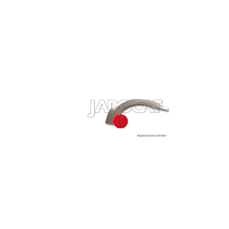 EXTENSION AILE AVD SORENTO