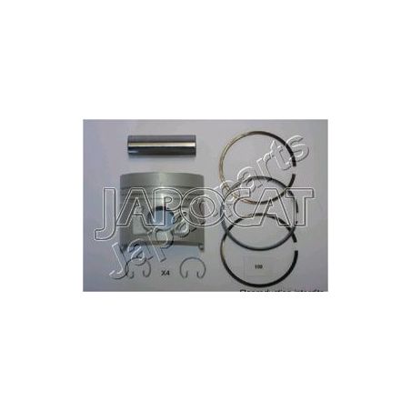 KIT PISTONS TD25