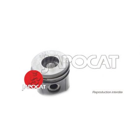 PISTON LAND TD5