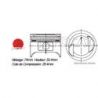 KIT PISTONS G13A-II TEIKIN H:55.4mm