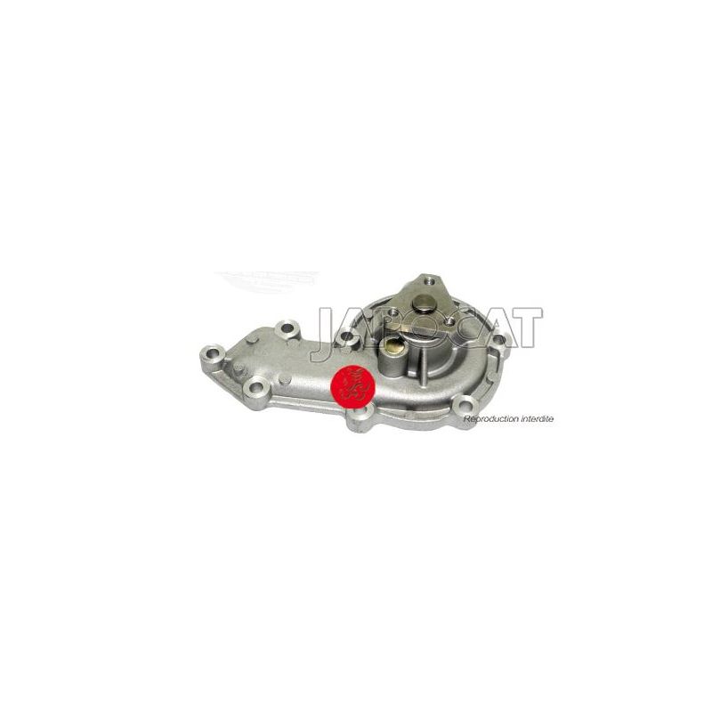 POMPE A EAU 300TDI