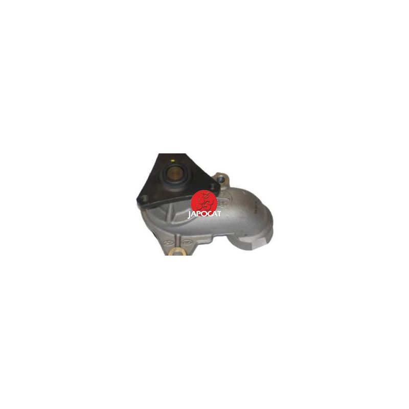 POMPE A EAU PICANTO/RIO