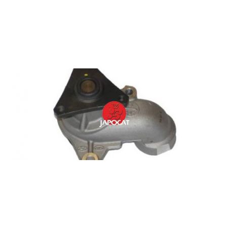 POMPE A EAU PICANTO/RIO