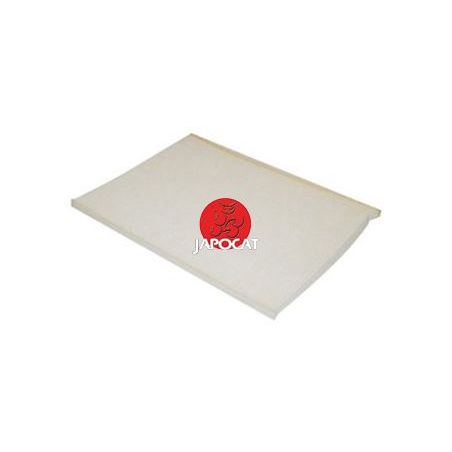 FILTRE HABITACLE IQ
