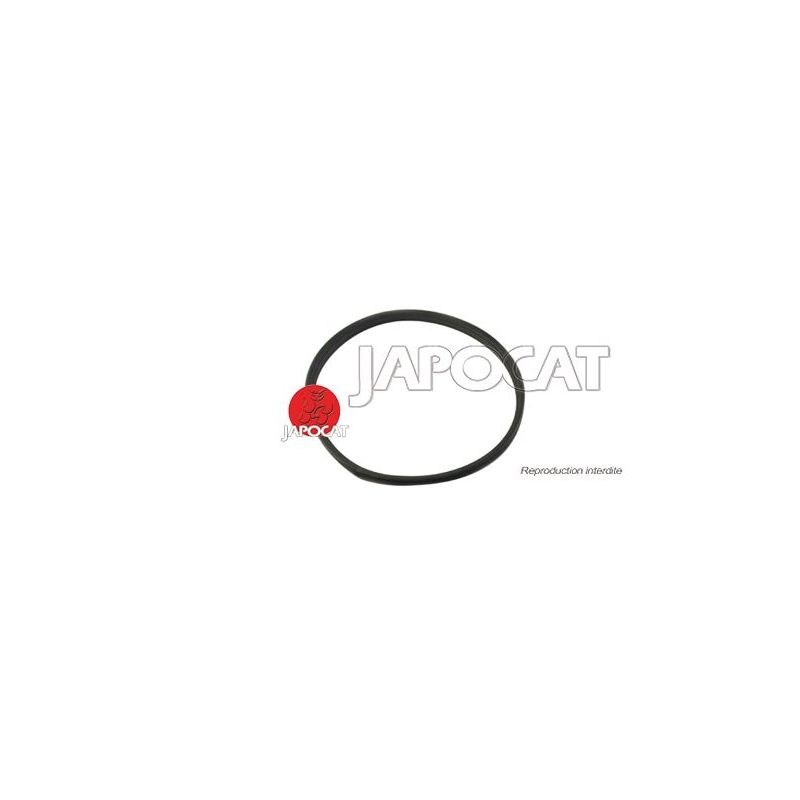 JOINT DE LUNETTE DE PORTE AR J4