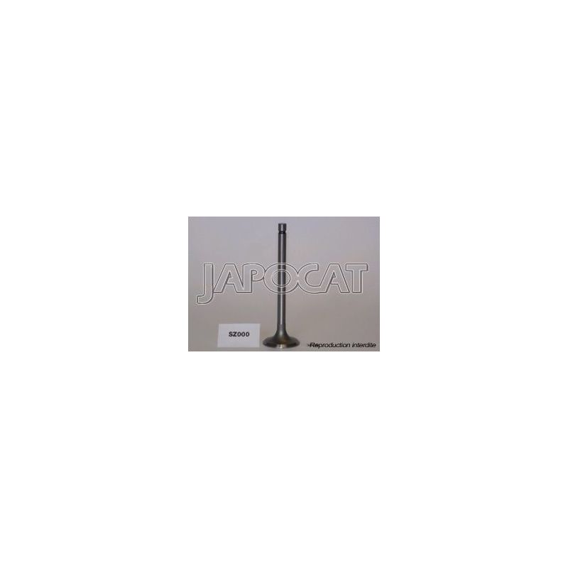 SOUPAPE ADMISSION F10A