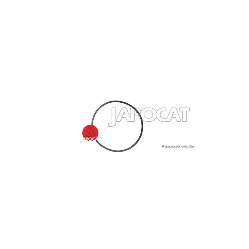 JOINT SPY CREPINE BVA5 J100 ORIGINE
