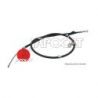 CABLE F.A.M ARD FORESTER
