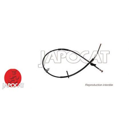 CABLE F.A.M ARG IGNIS II
