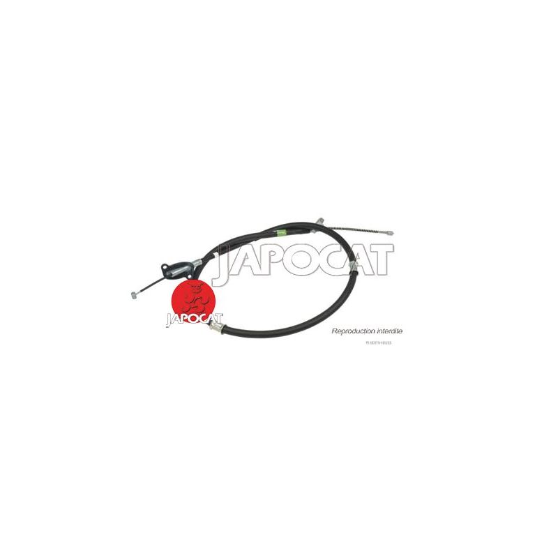 CABLE F.A.M ARG TERIOS