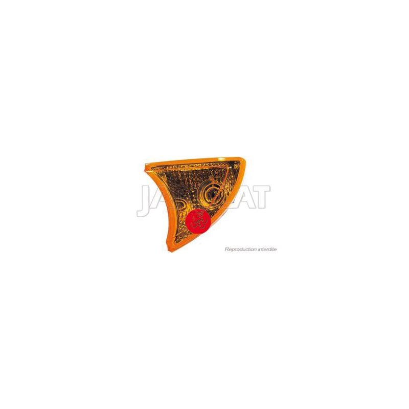 Clignotant AVG Stralis 03-