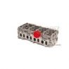 CULASSE NUE ZD30 COMMONRAIL