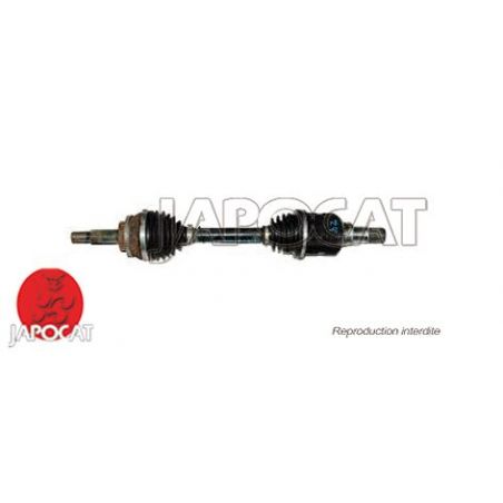 CARDAN COMPLET AVG E12