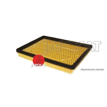 FILTRE A AIR 300C