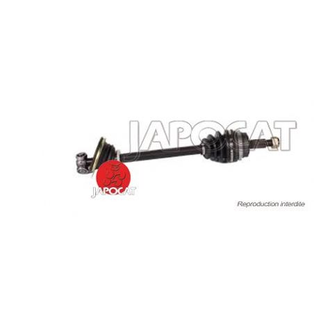 CARDAN AVG