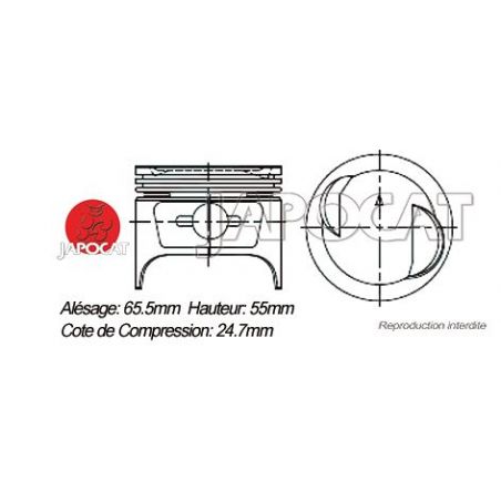KIT PISTONS F10A