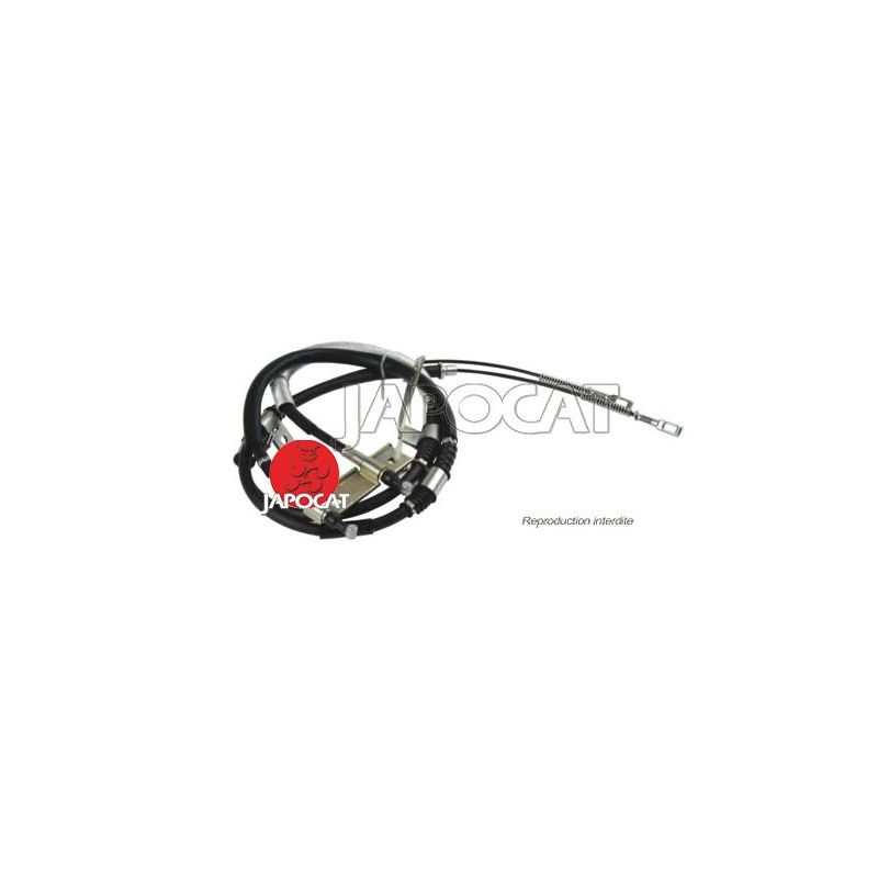 CABLE F.A.M REXTON