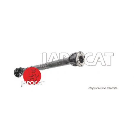 ARBRE TRANSMISSION AV P38