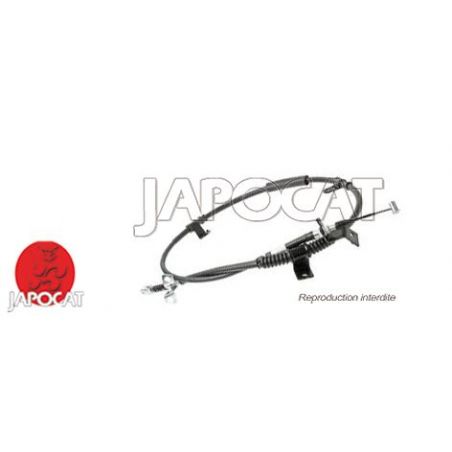 CABLE F.A.M ARD ACCENT II/RIO