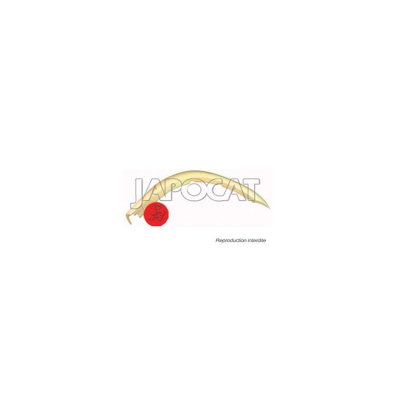 EXTENSION AILE AVD K74