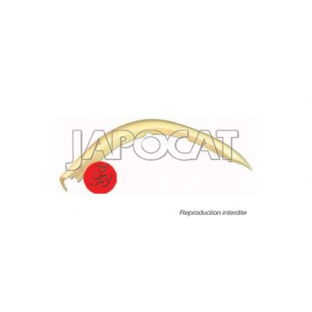 EXTENSION AILE AVD K74
