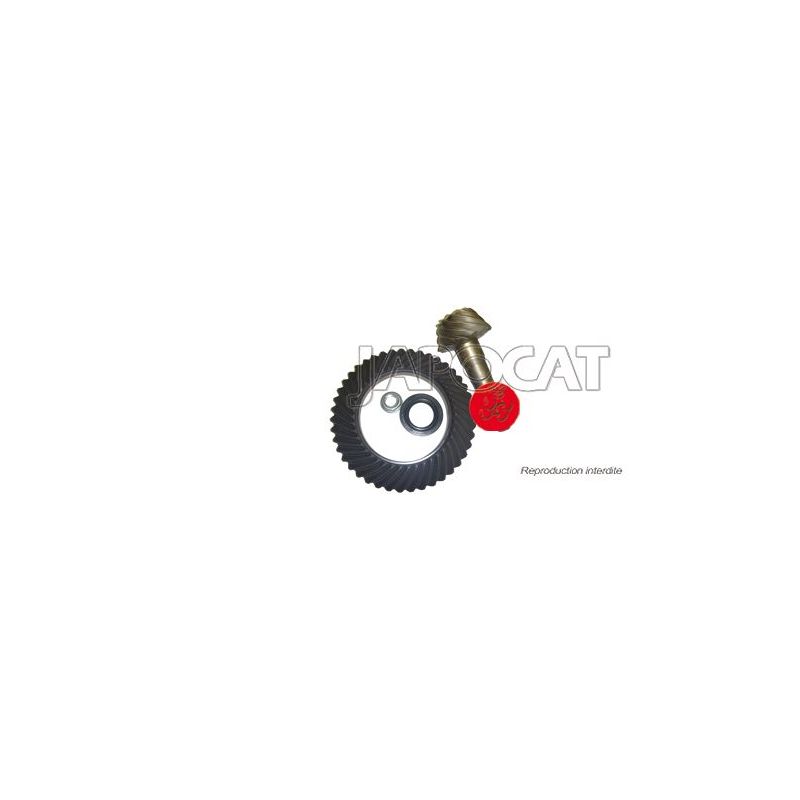 COUPLE CONIQUE 11X43 J100 AR