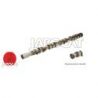 ARBRE A CAMES WLT 12S