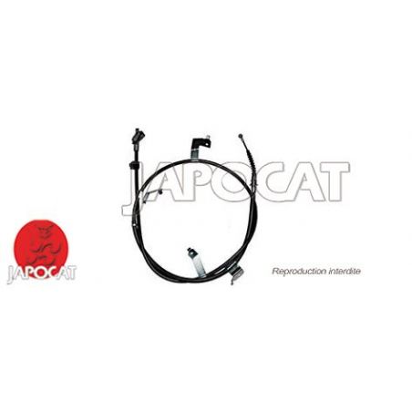 CABLE F.A.M ARG AURIS