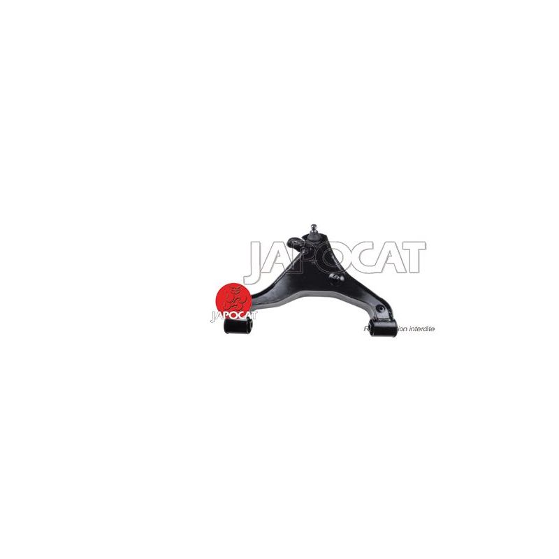 TRIANGLE INF G D40/R51