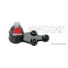ROTULE INF H1 08>