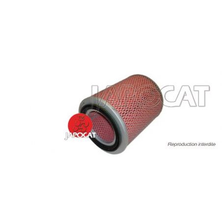 FILTRE A AIR C22